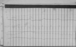 Lvv970724.jpg