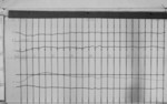 Lvv970802.jpg