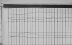 Lvv970918.jpg