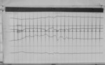 Lvv980218.jpg