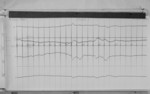 Lvv980313.jpg