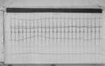 Lvv980319.jpg