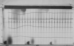 Lvv980323.jpg