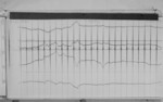 Lvv980508.jpg