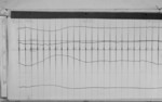 Lvv980612.jpg