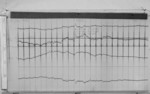 Lvv980731.jpg