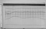 Lvv980818.jpg