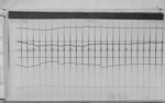 Lvv981119.jpg