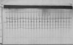 Lvv981221.jpg