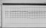 Lvv990106.jpg