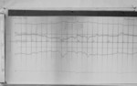 Lvv990211.jpg
