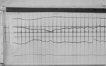Lvv990214.jpg