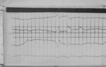 Lvv990303.jpg