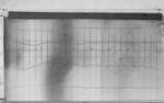 Lvv990424.jpg