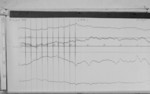 Lvv990819.jpg