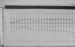 Lvv990908.jpg