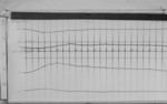 Lvv990925.jpg