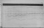 Lvv991022.jpg