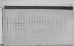 Lvv991024.jpg