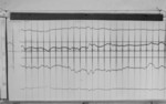 Lvv991205.jpg