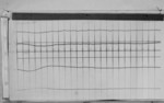Lvv991222.jpg