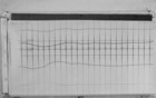 Lvv000118.jpg