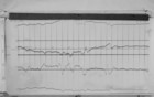 Lvv001014.jpg