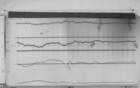 Lvv001112.jpg